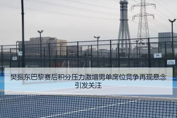 樊振东巴黎赛后积分压力激增男单席位竞争再现悬念引发关注